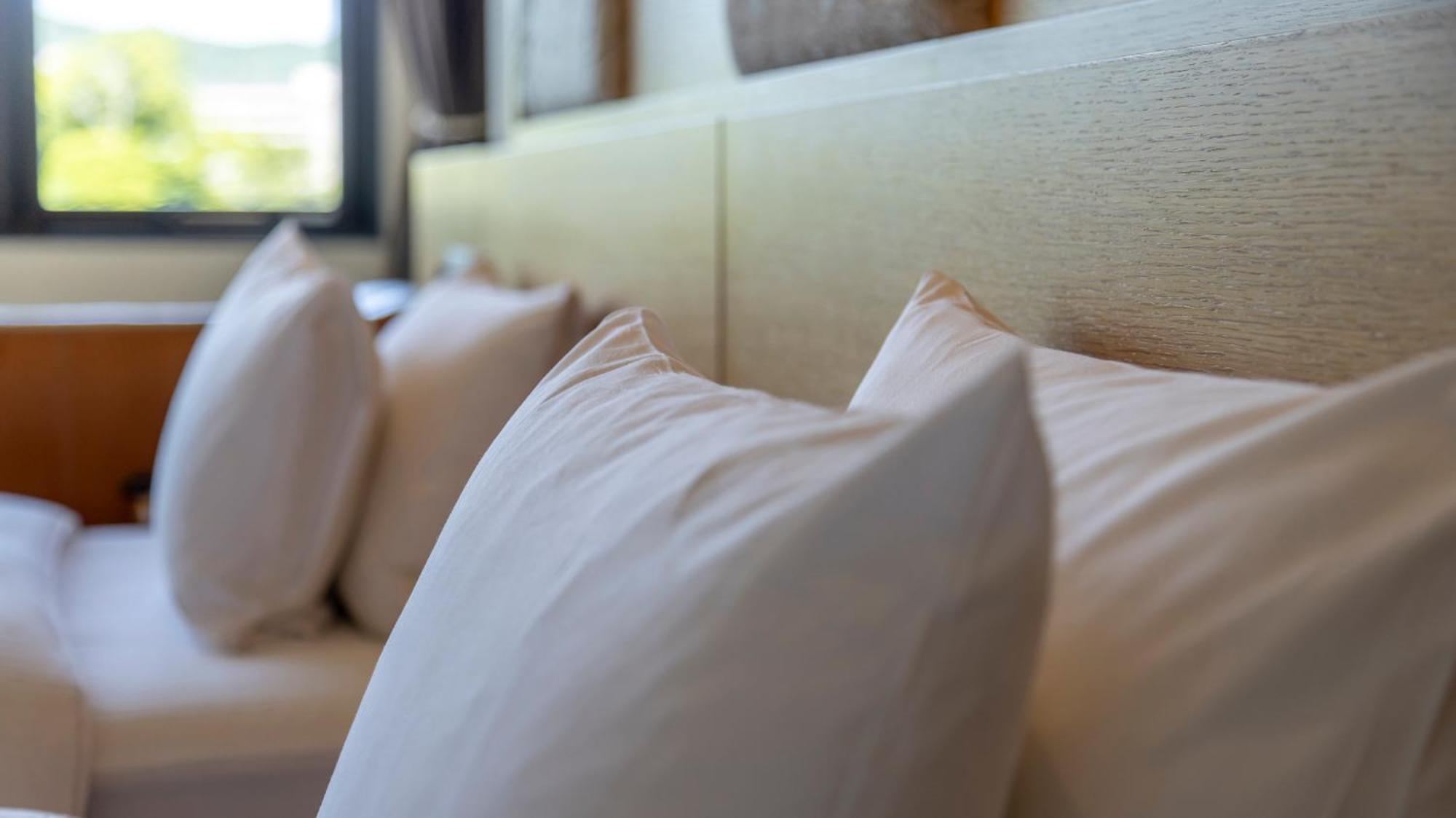 Riverte Kamogawa Hotel 3*